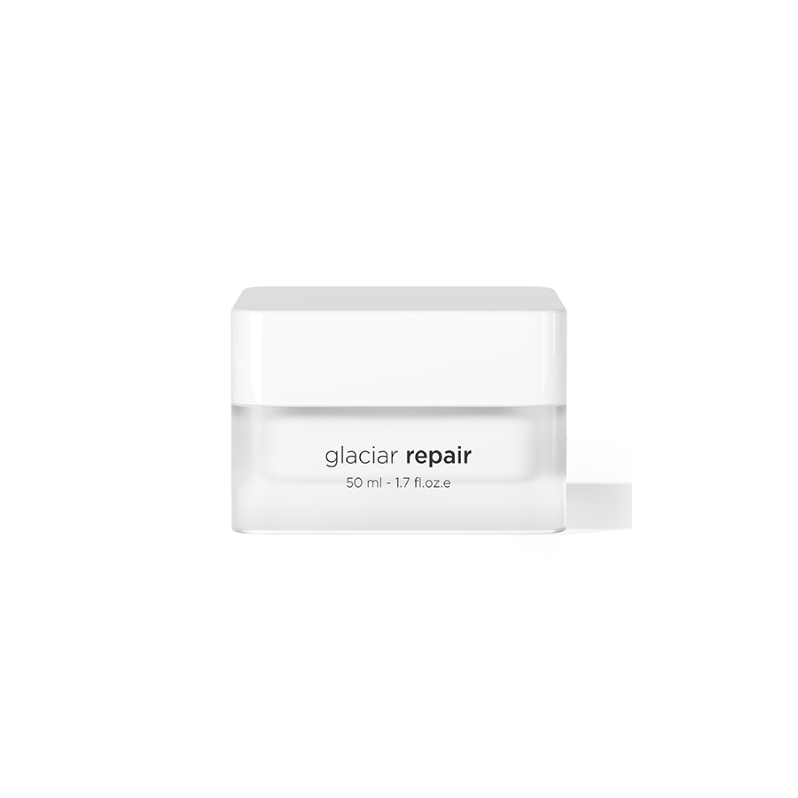 ekseption Glaciar Repair